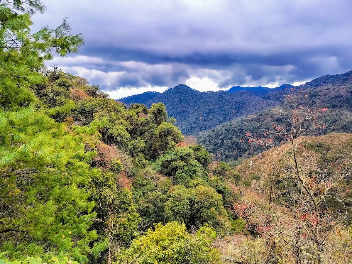 Eaglenest Wildlife Sanctuary - photo 3