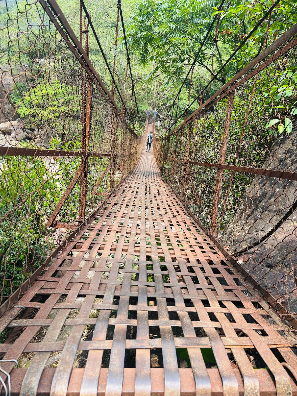 Double Decker Living Root Bridge - photo 2