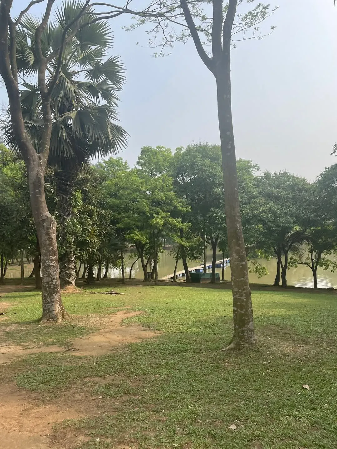 Dampa Tiger Reserve - photo 3