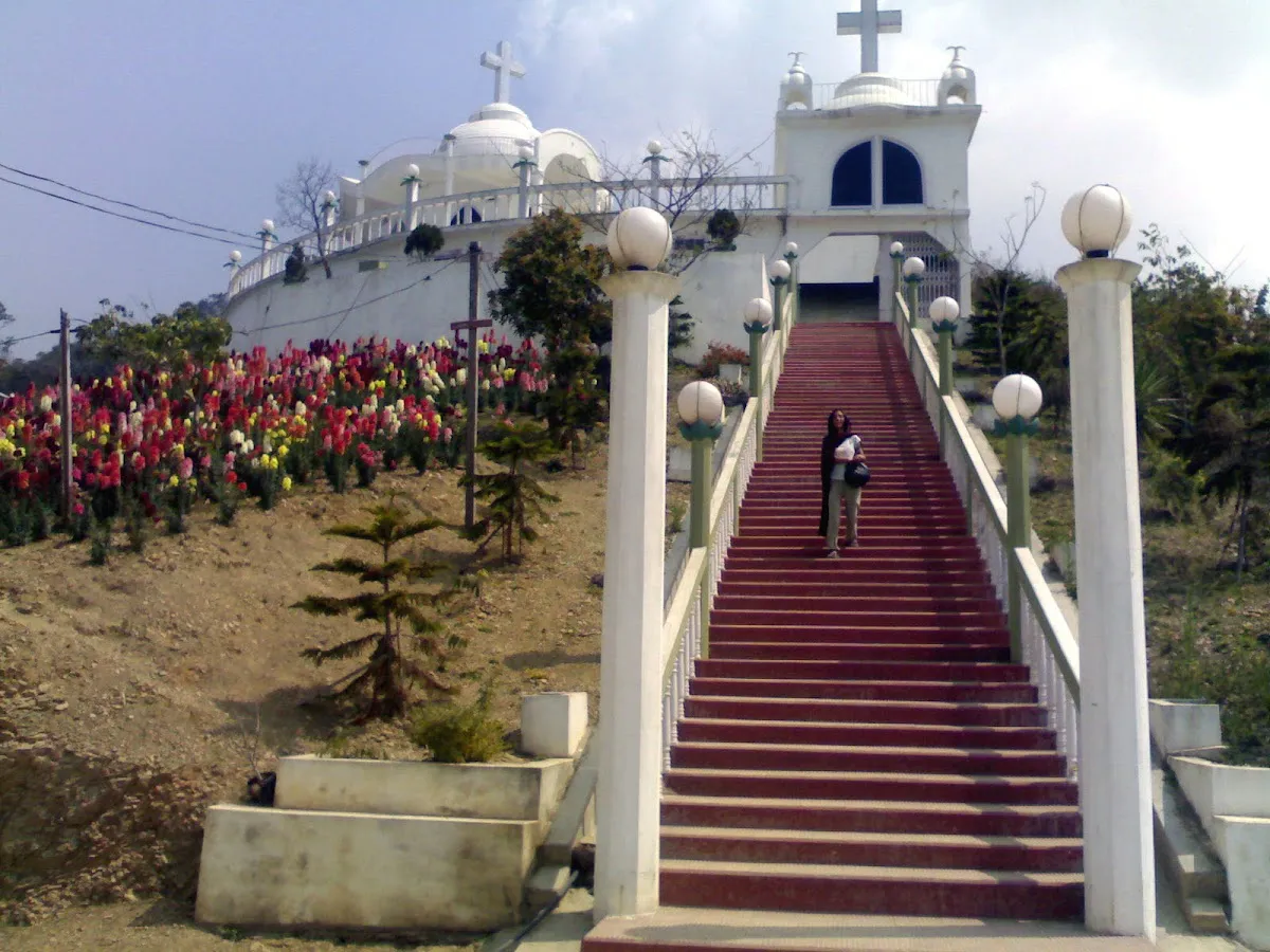 KV Paradise - photo 2