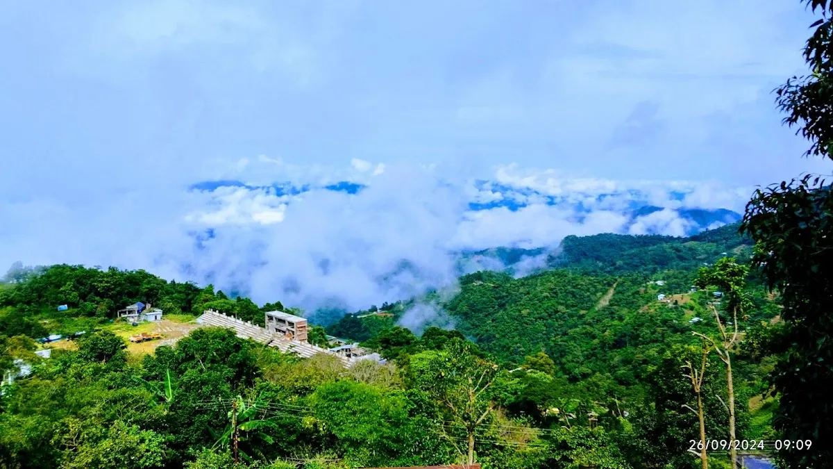 KV Paradise - photo 3