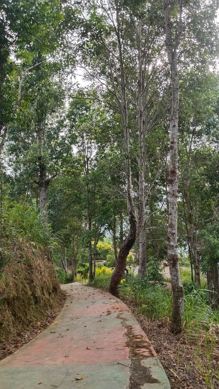 Muthi Park - photo 2