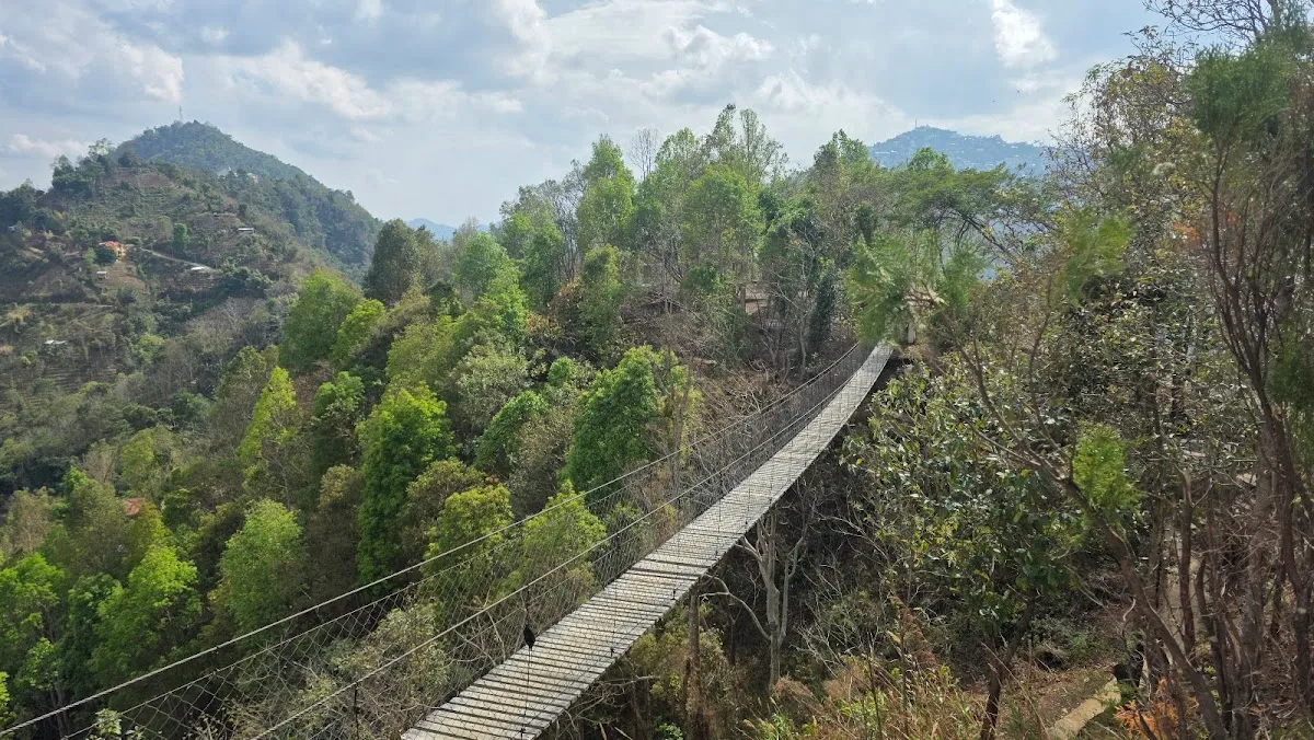 Muthi Park - photo 3