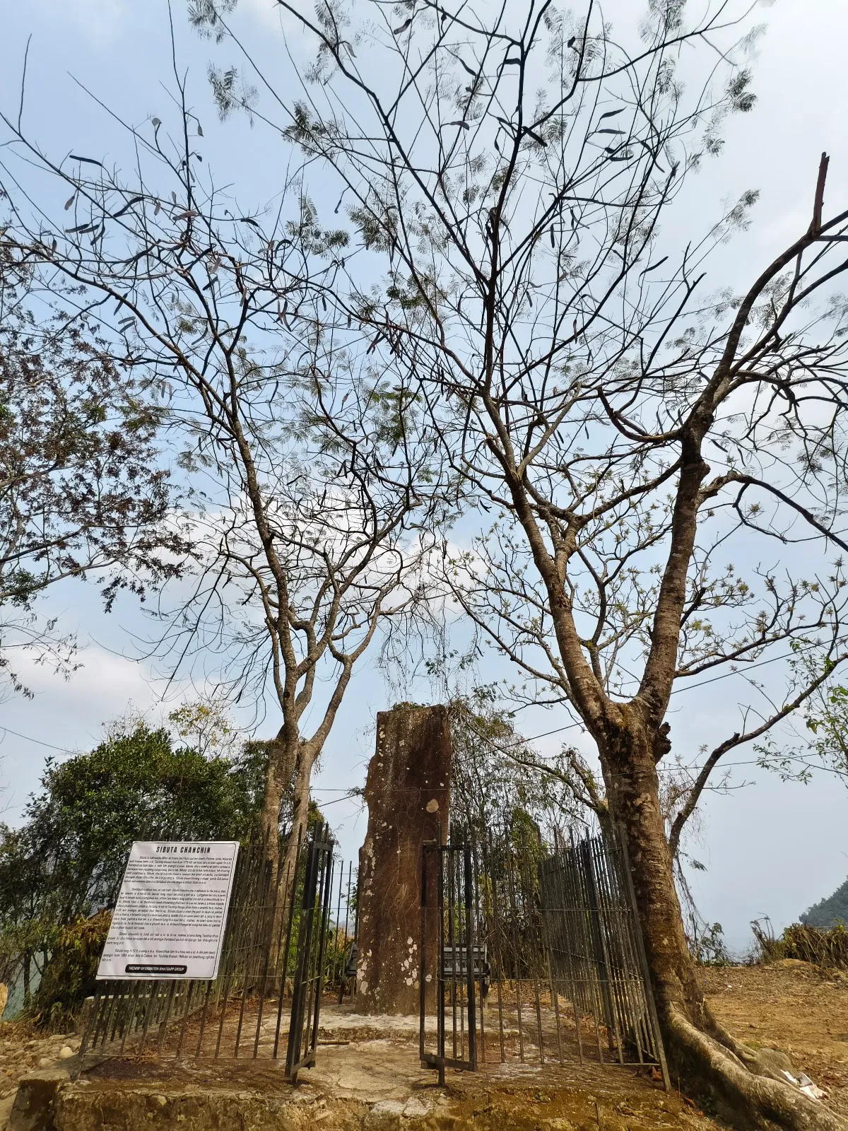 Sibuta Lung, Tachhip - photo 3