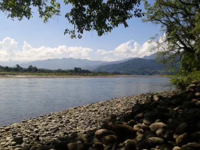 Along - photo 2
