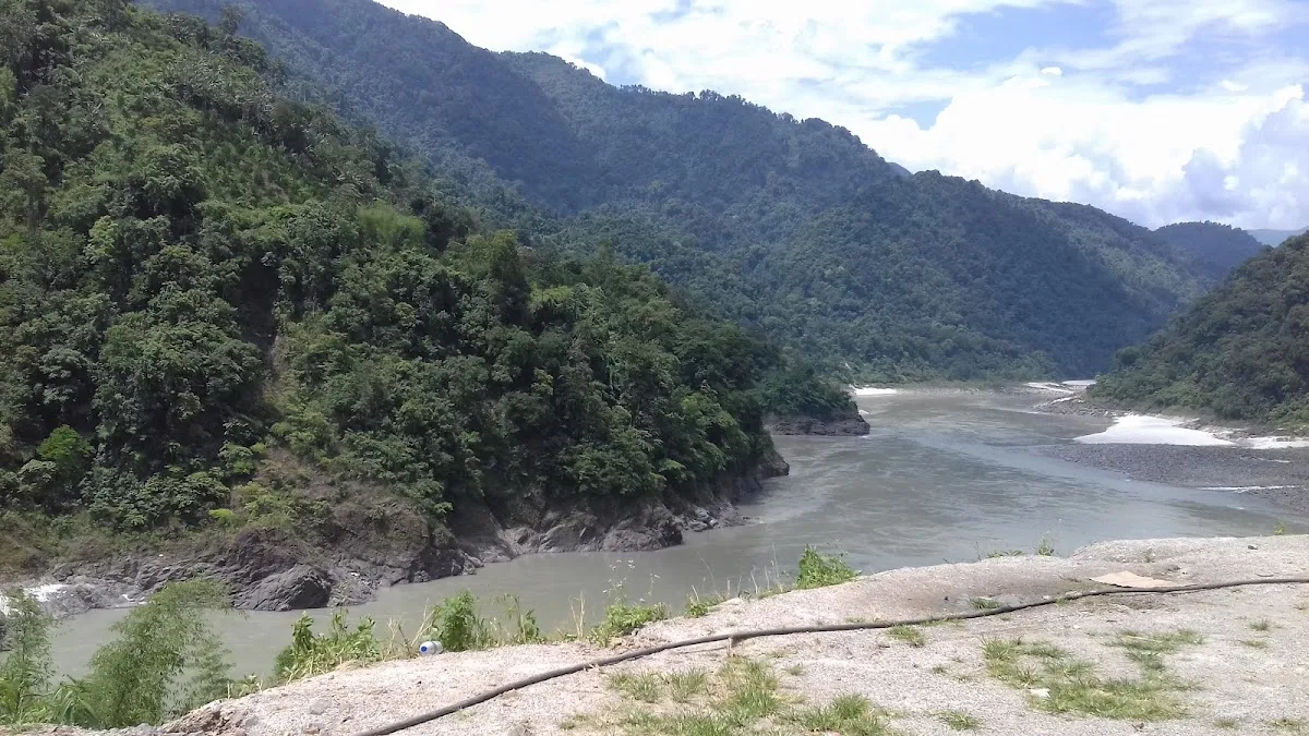 Along - photo 3