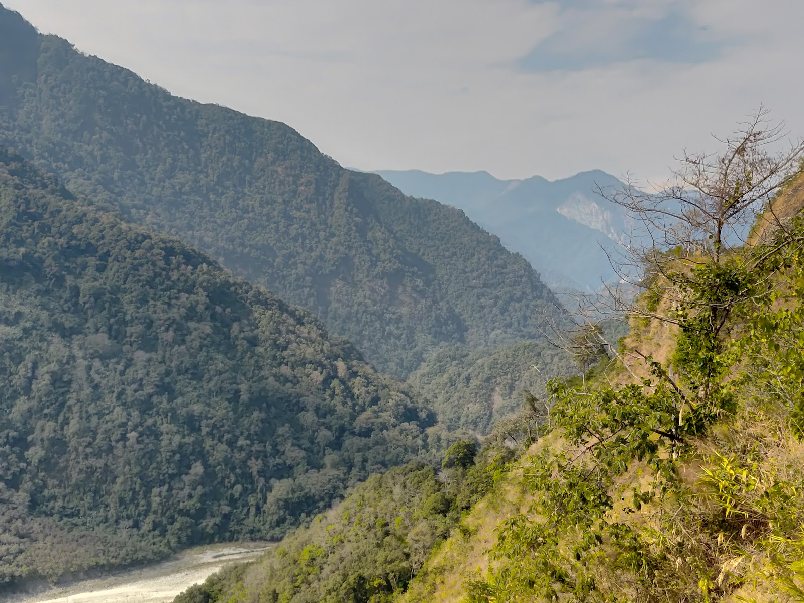 Mehao Wildlife Sanctuary photo 2