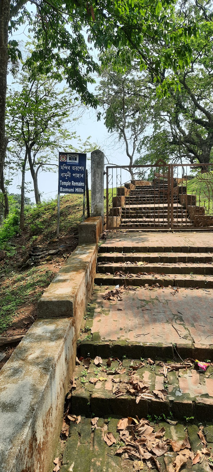 Bamuni Hills photo 2