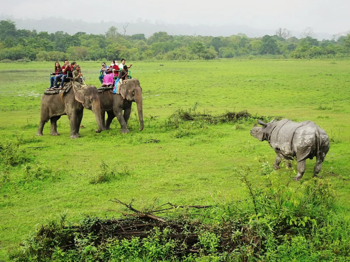 Assam — Northeast India