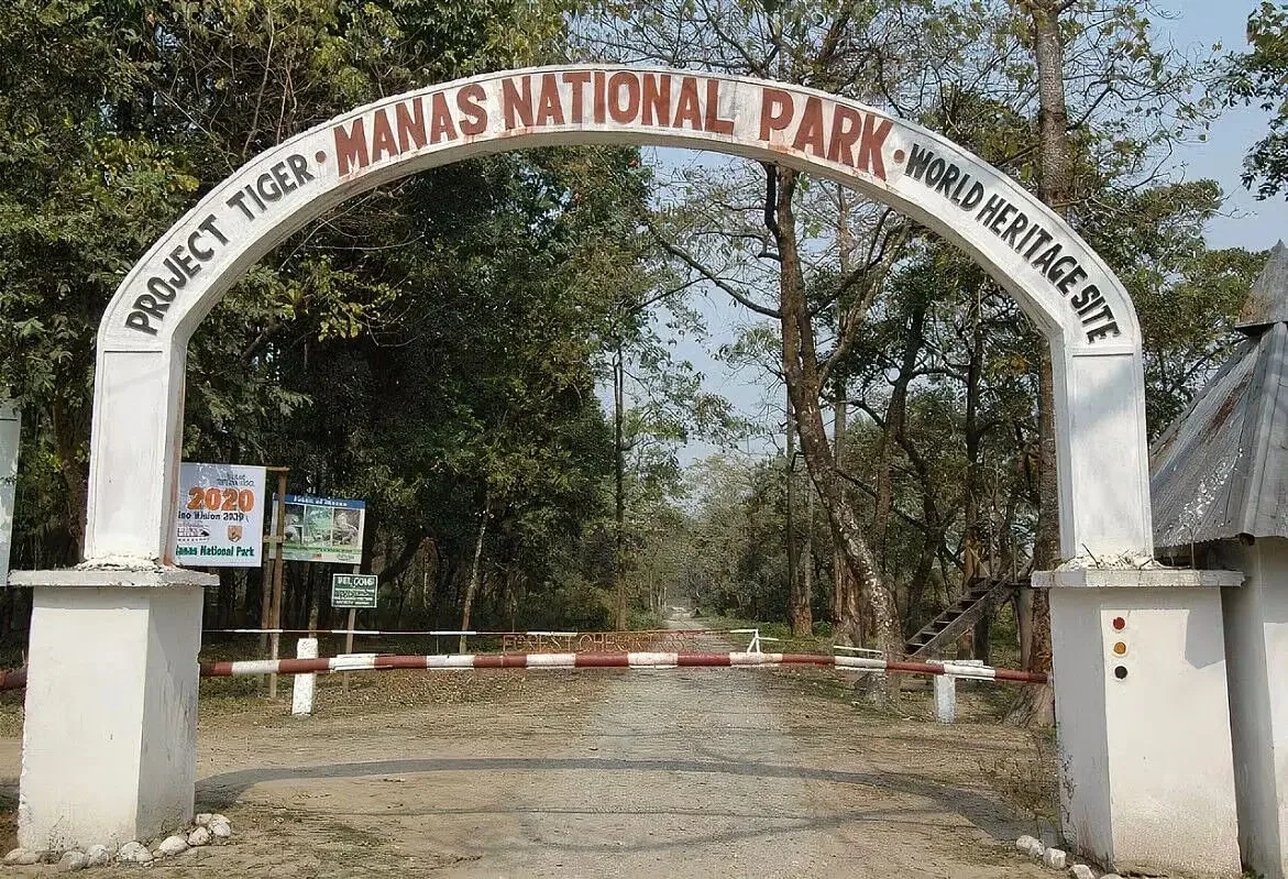 Manas National Park, Assam, UNESCO World Heritage Site at the Bhutan border, with forest and grassland terrain unlike Kaziranga's open plains