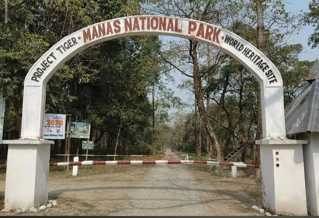 Manas National Park