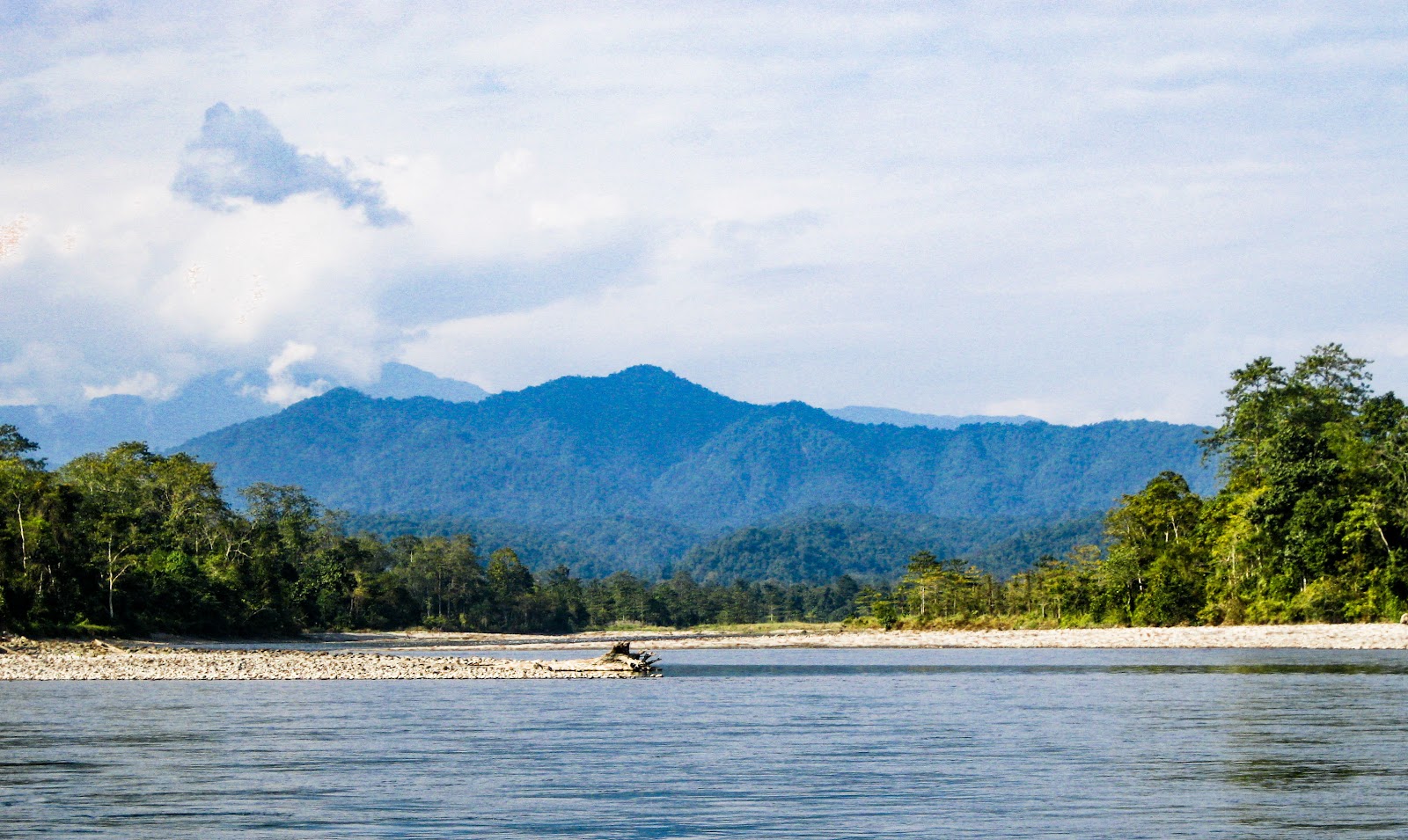 Nameri National Park And Forest Reserve photo 3
