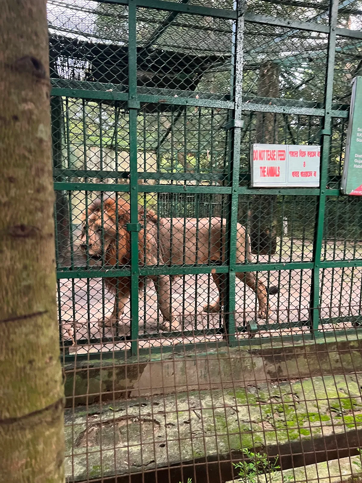 Sepahijala Wildlife Sanctuary & Zoo - photo 2