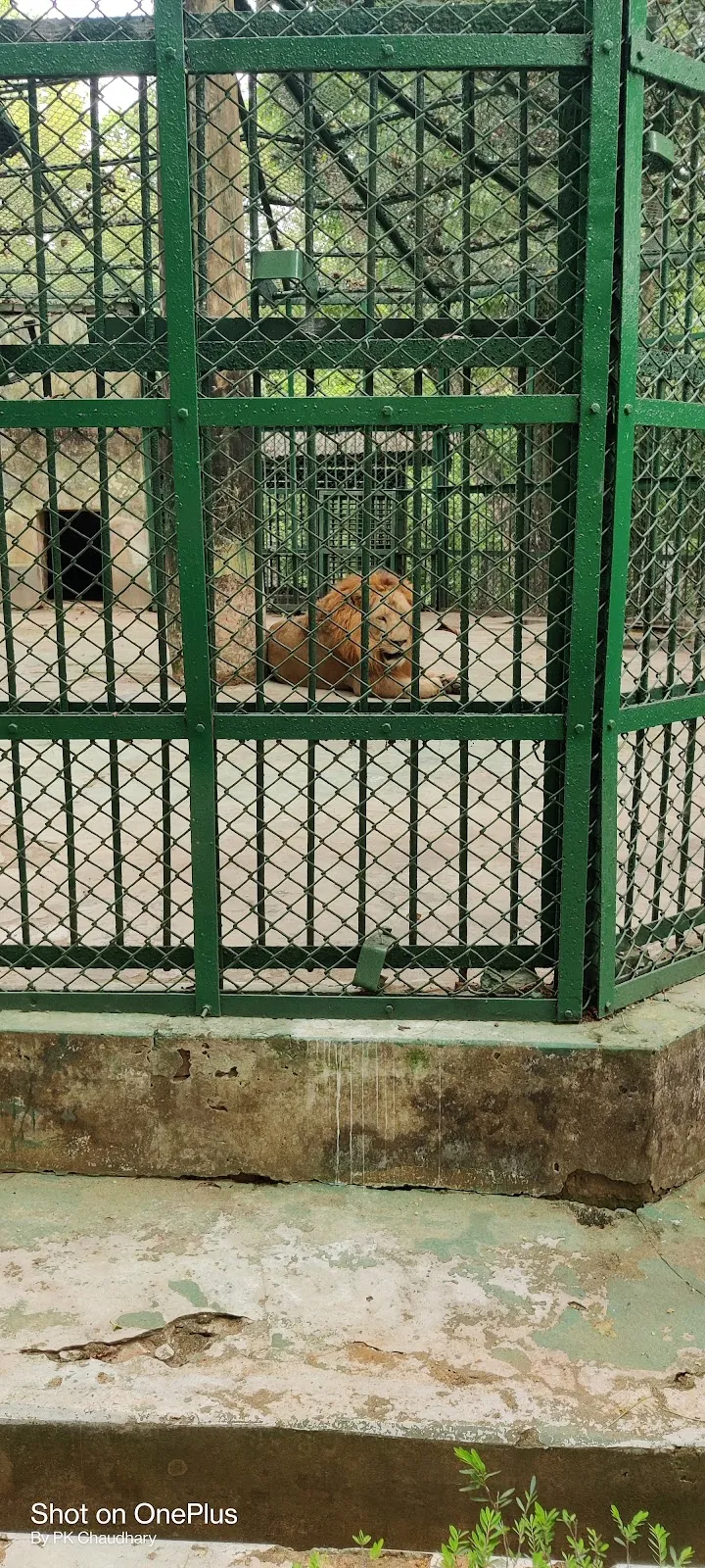 Sepahijala Zoological Park - photo 3