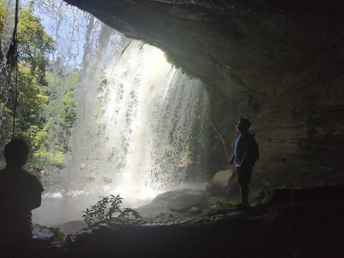 Tuirihiau Falls - photo 3