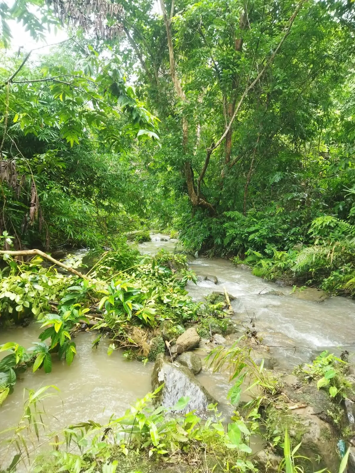 Longtharai Hill Waterfall - photo 3