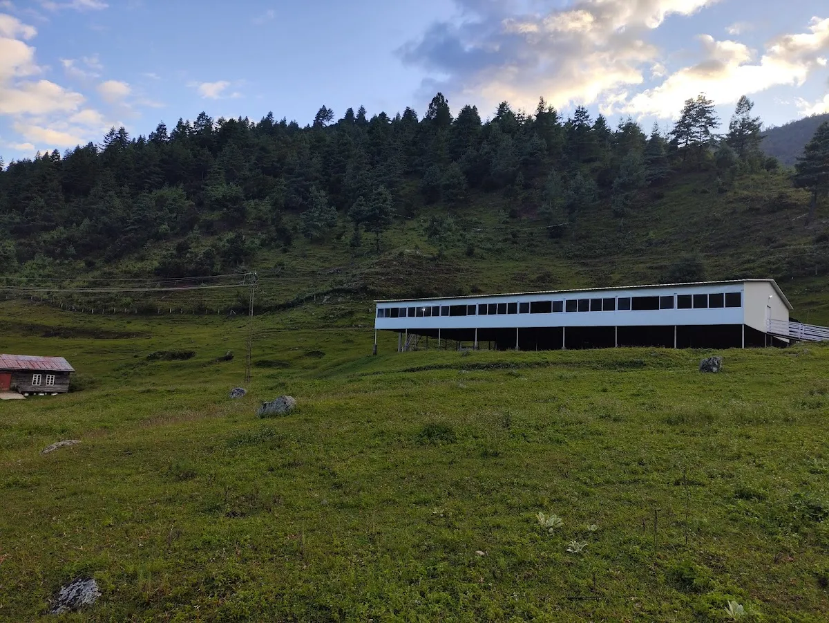 Sangti Valley