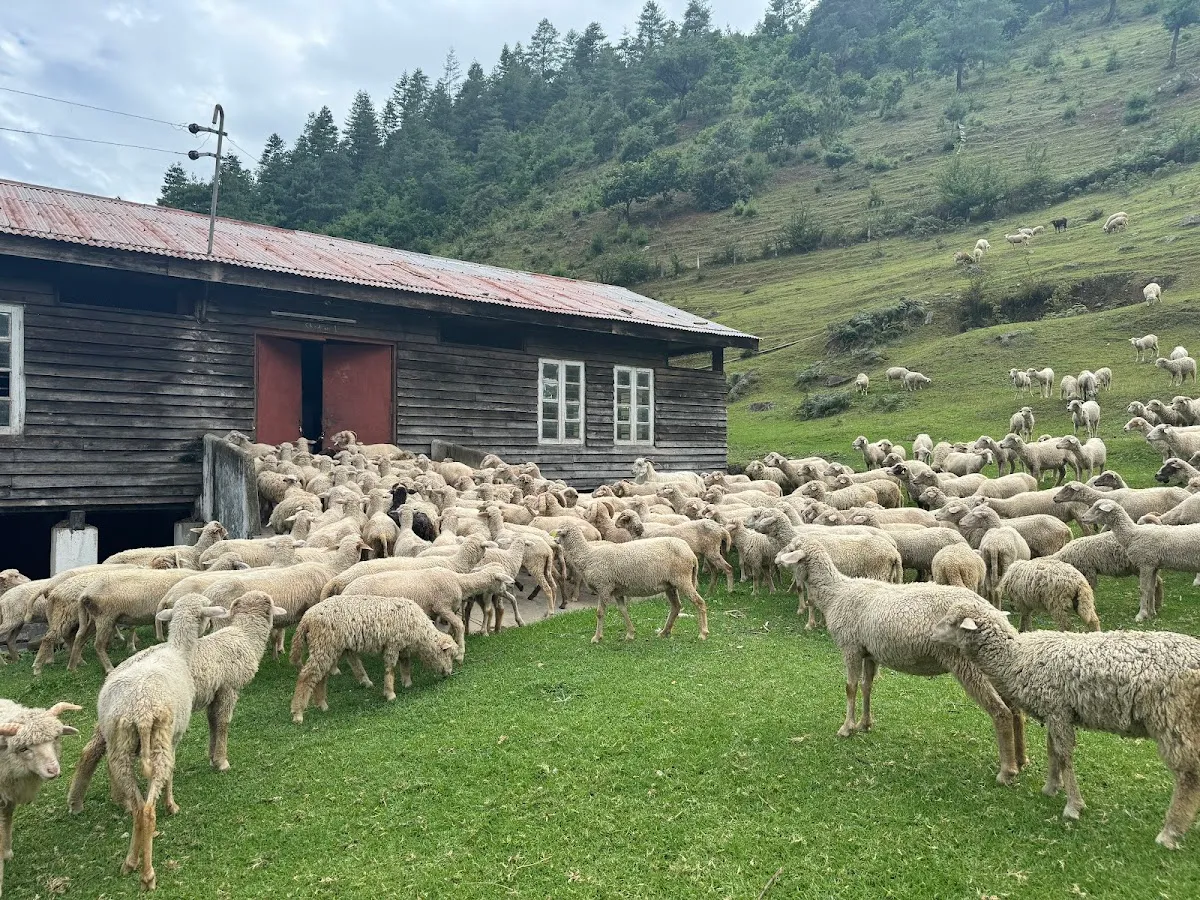 Sangti Valley - photo 3