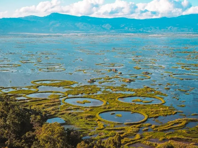 Keibul Lamjao National Park - photo 2