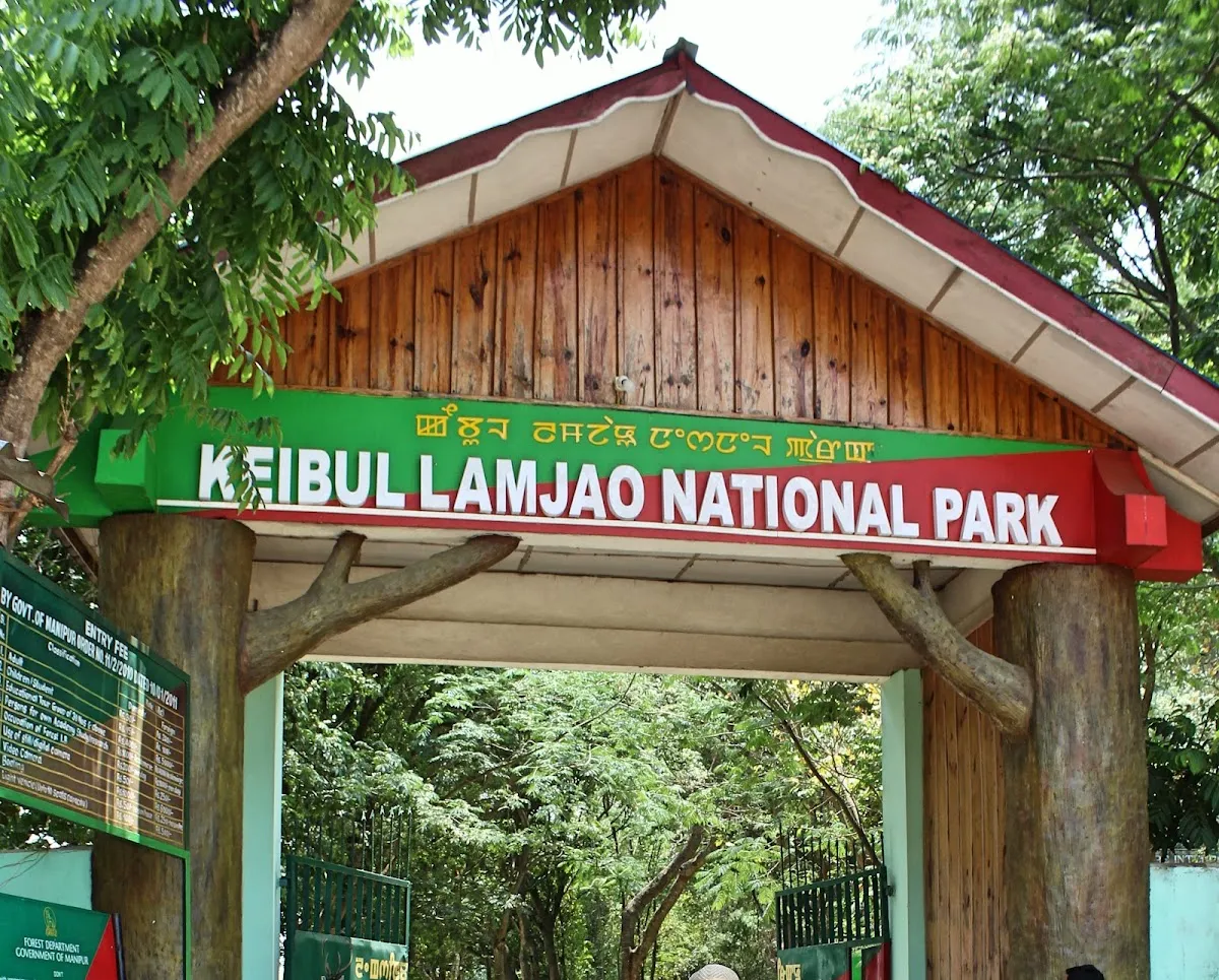 Keibul Lamjao National Park - photo 3