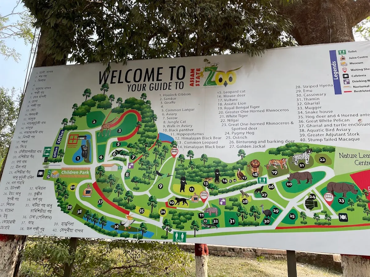 Assam State Zoo cum Botanical Garden - photo 2