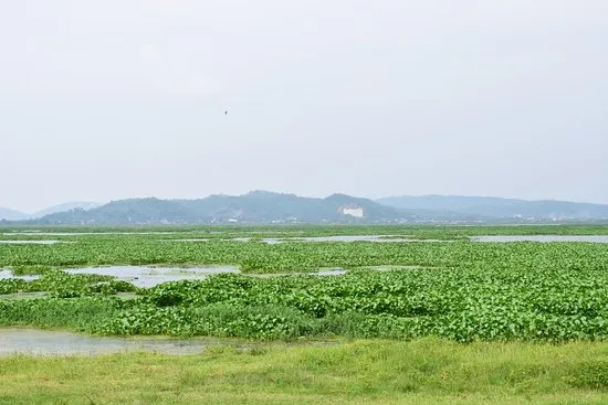 Deepor Beel - photo 2