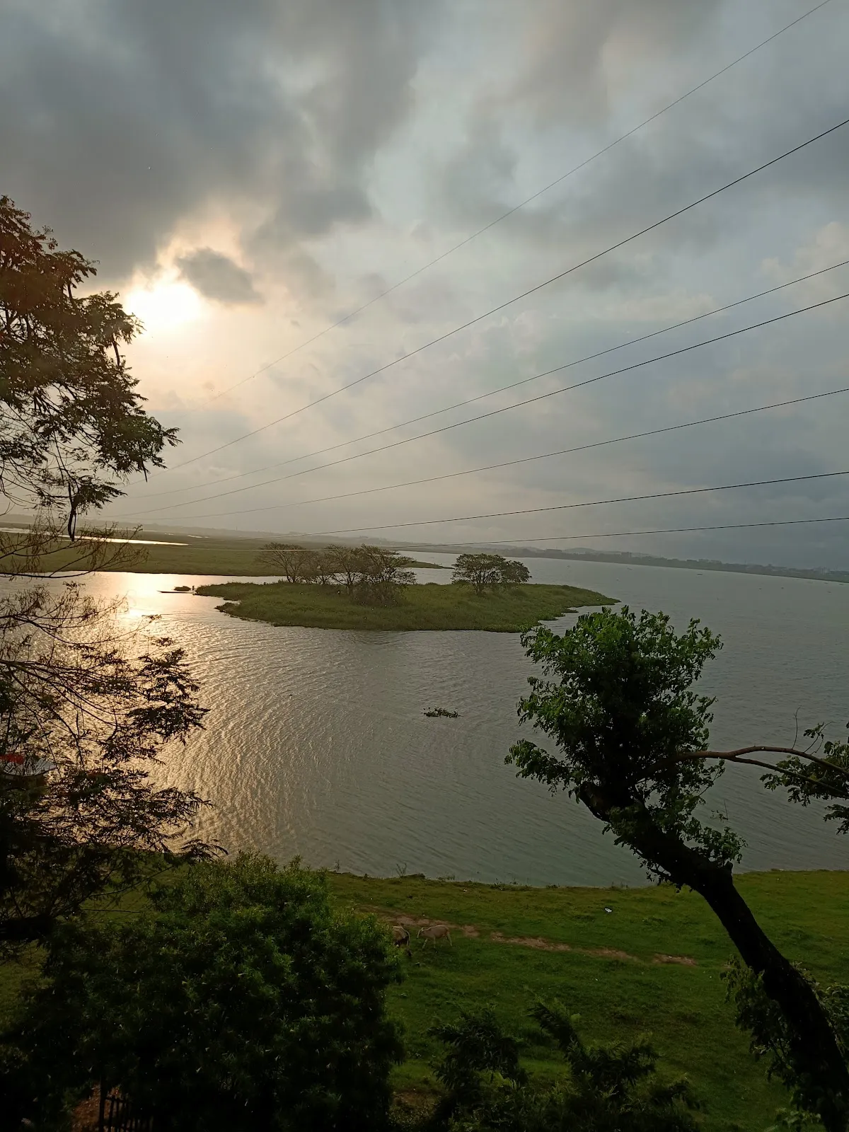 Deepor Beel - photo 3