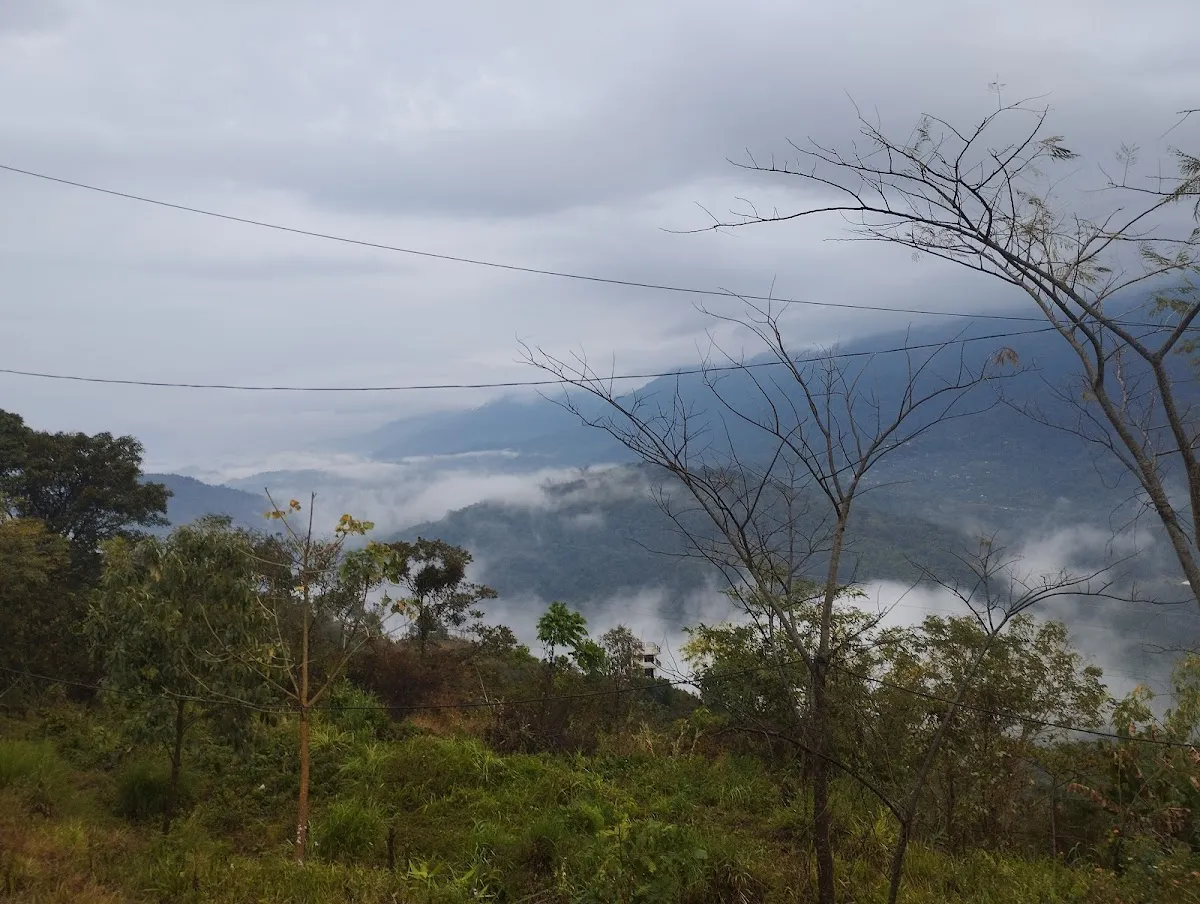 Jatinga Valley - photo 3