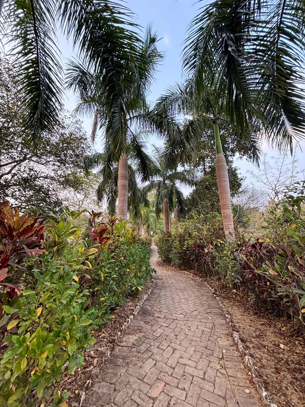 BARAMURA ECO PARK - photo 2