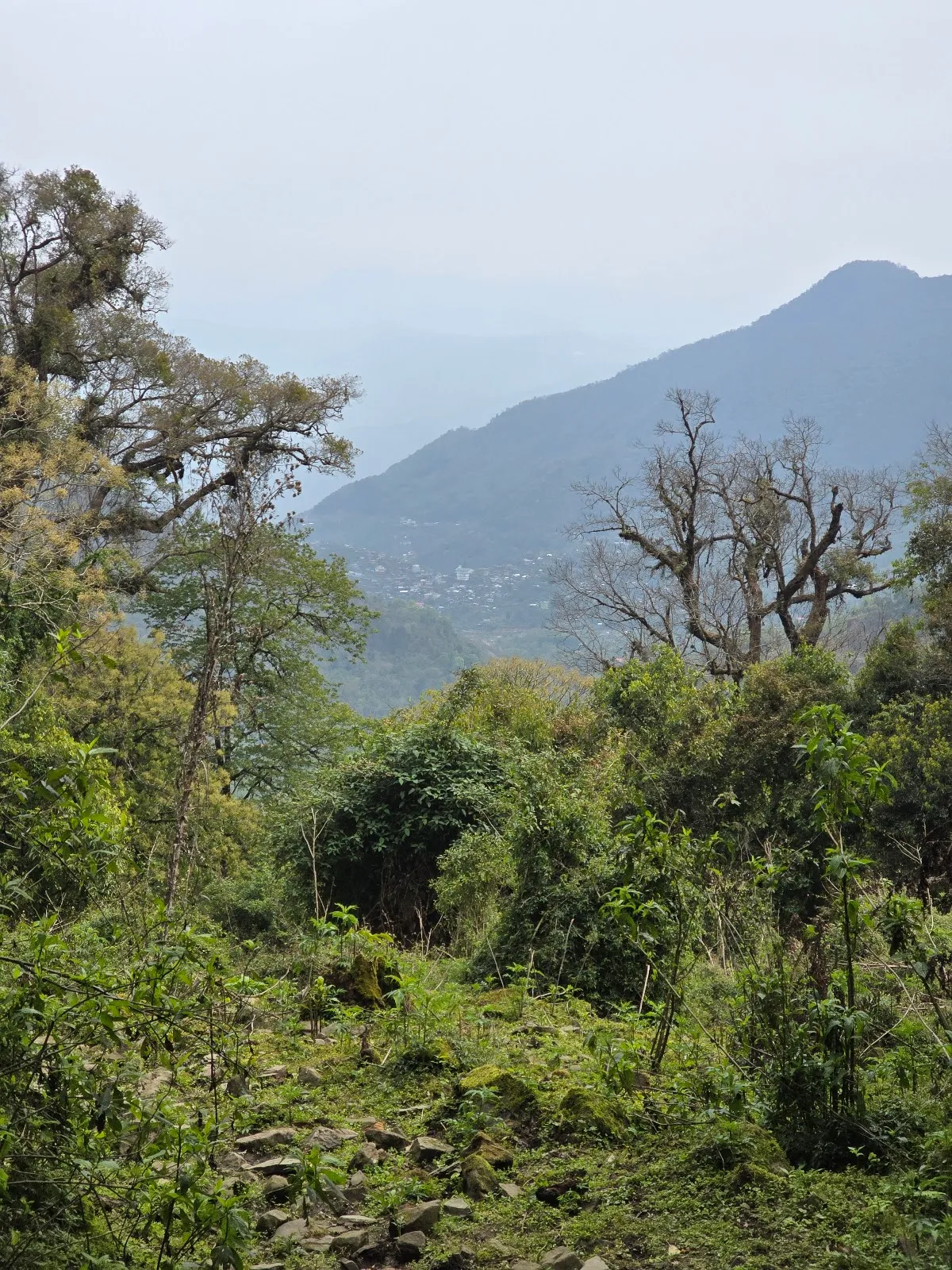 Khonoma Nature Conservation and Tragopan Sanctuary
