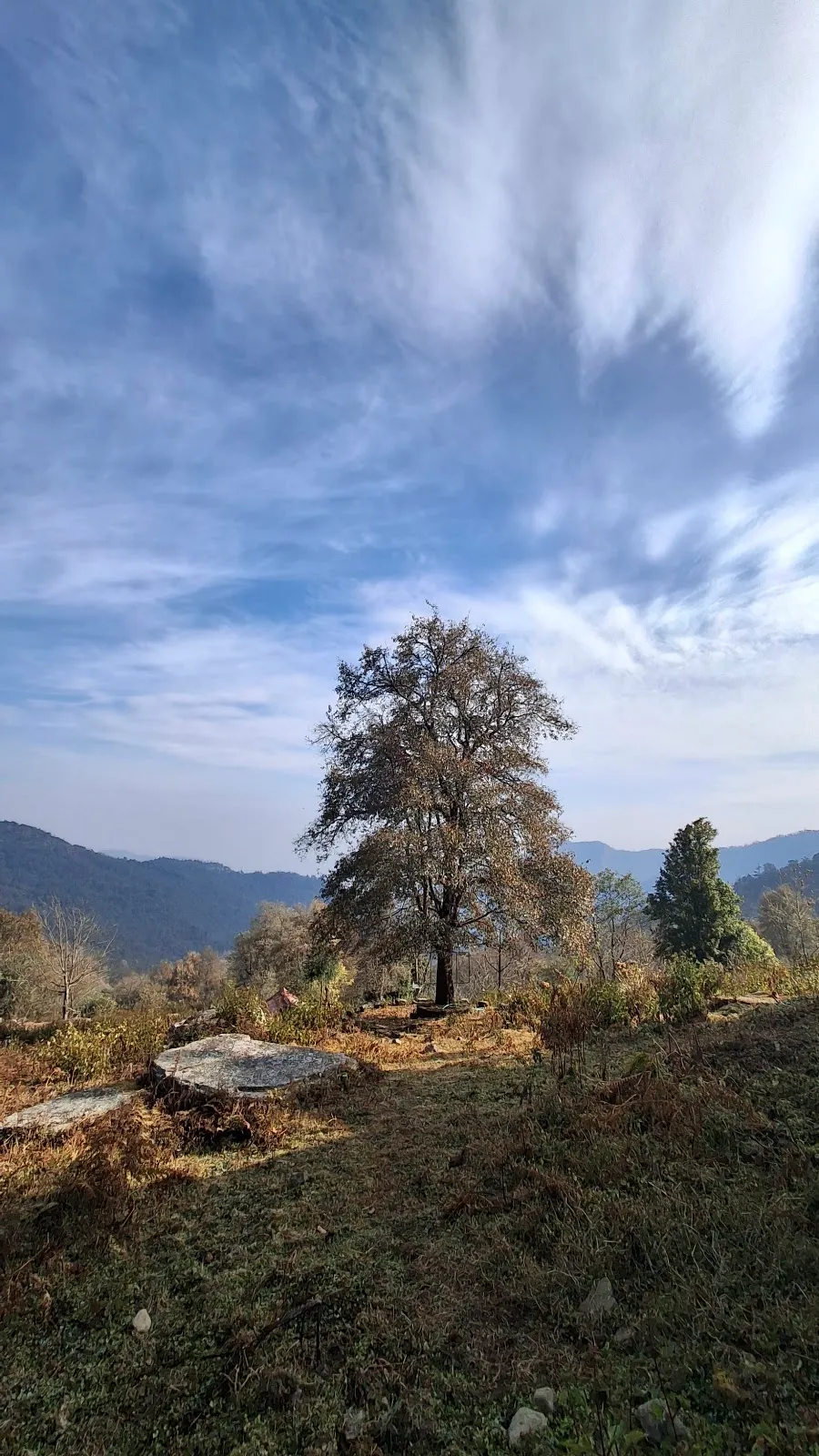 Khonoma Nature Conservation and Tragopan Sanctuary - photo 3