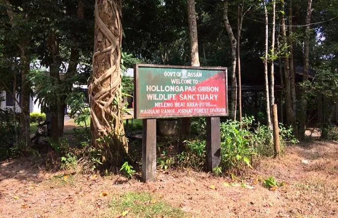 Gibbon Wildlife Sanctuary
