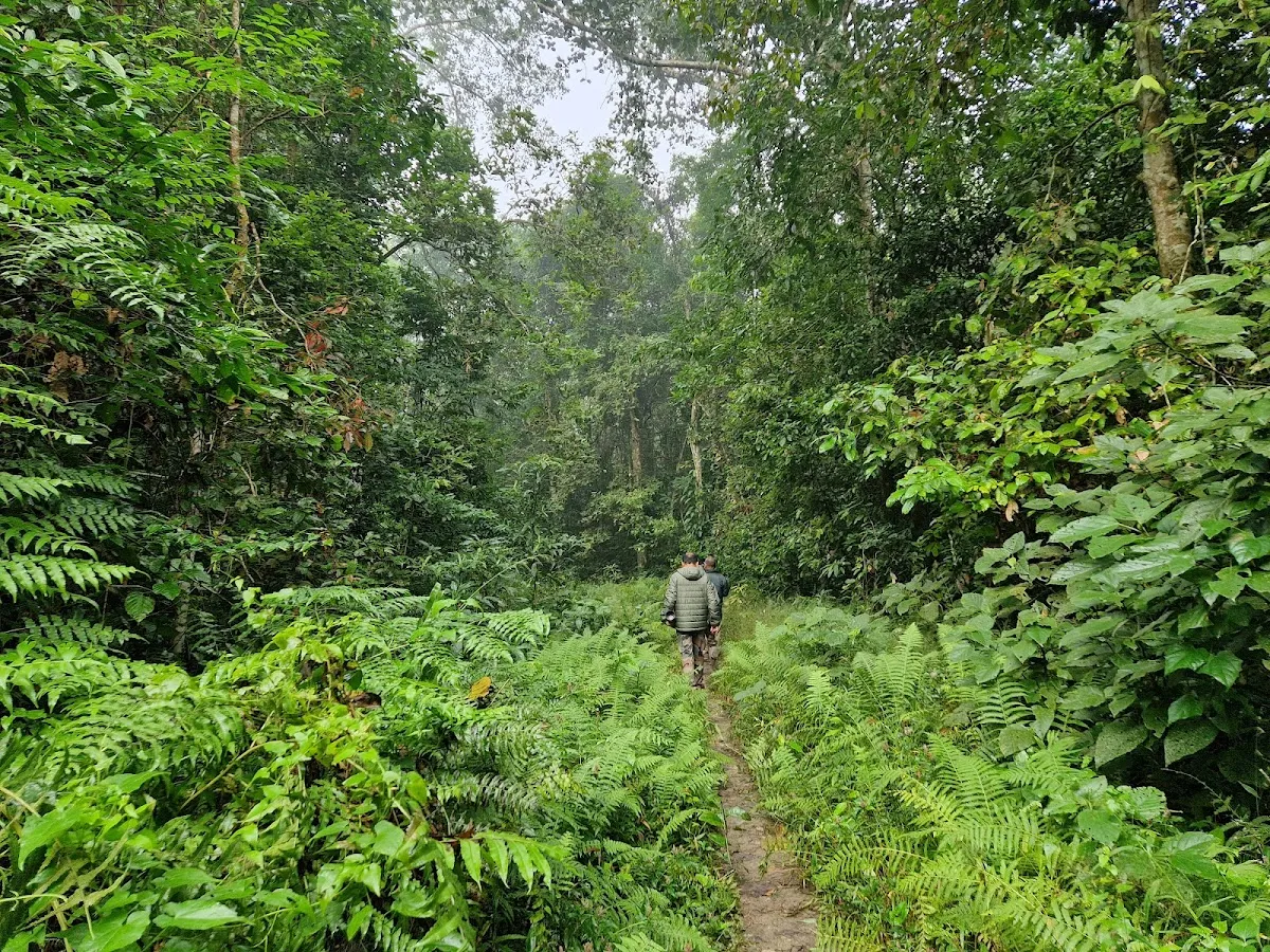Gibbon Wildlife Sanctuary - photo 3