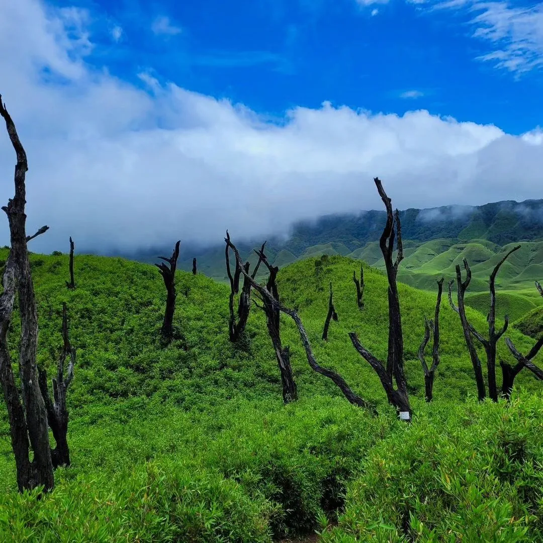 Dzukou Valley - photo 3