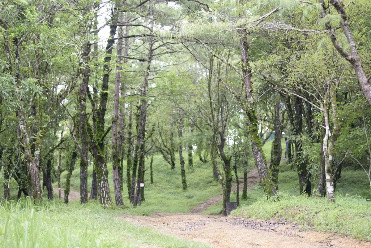 Theiriat Tlâng