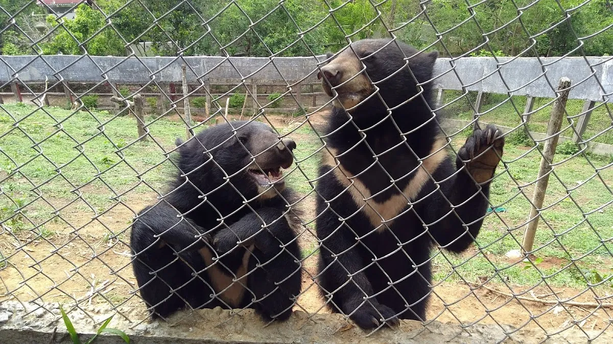 Aizawl Zoological Park - photo 2