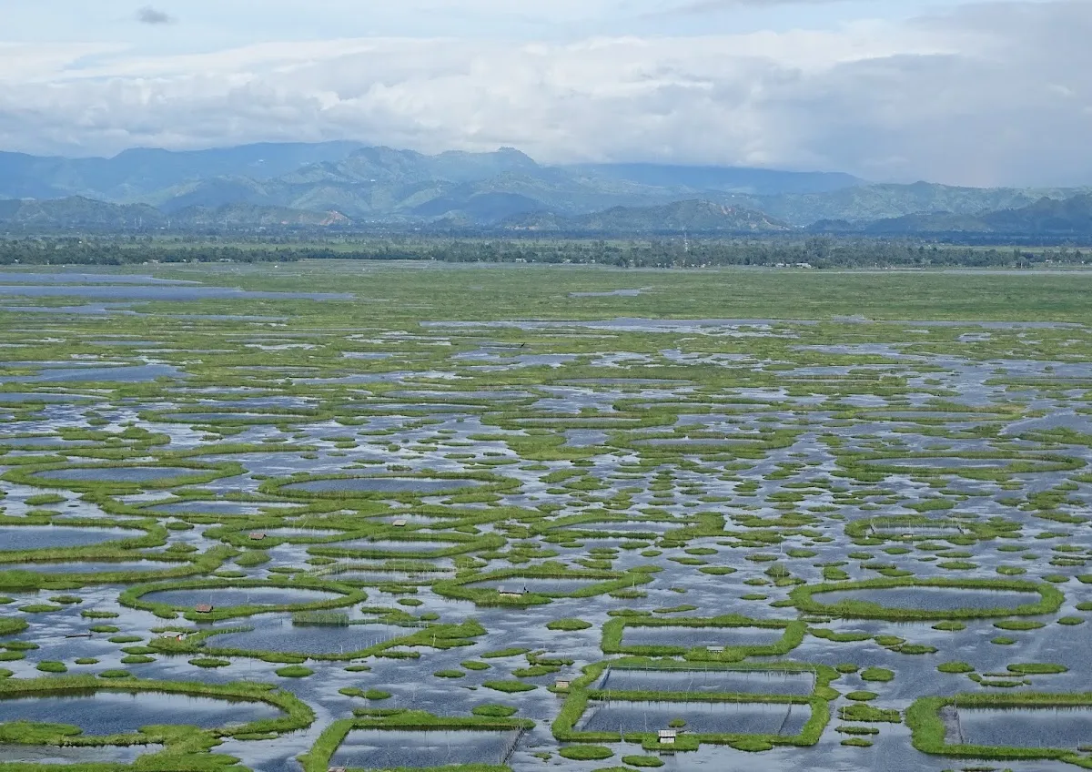 Loktak Lake - photo 2