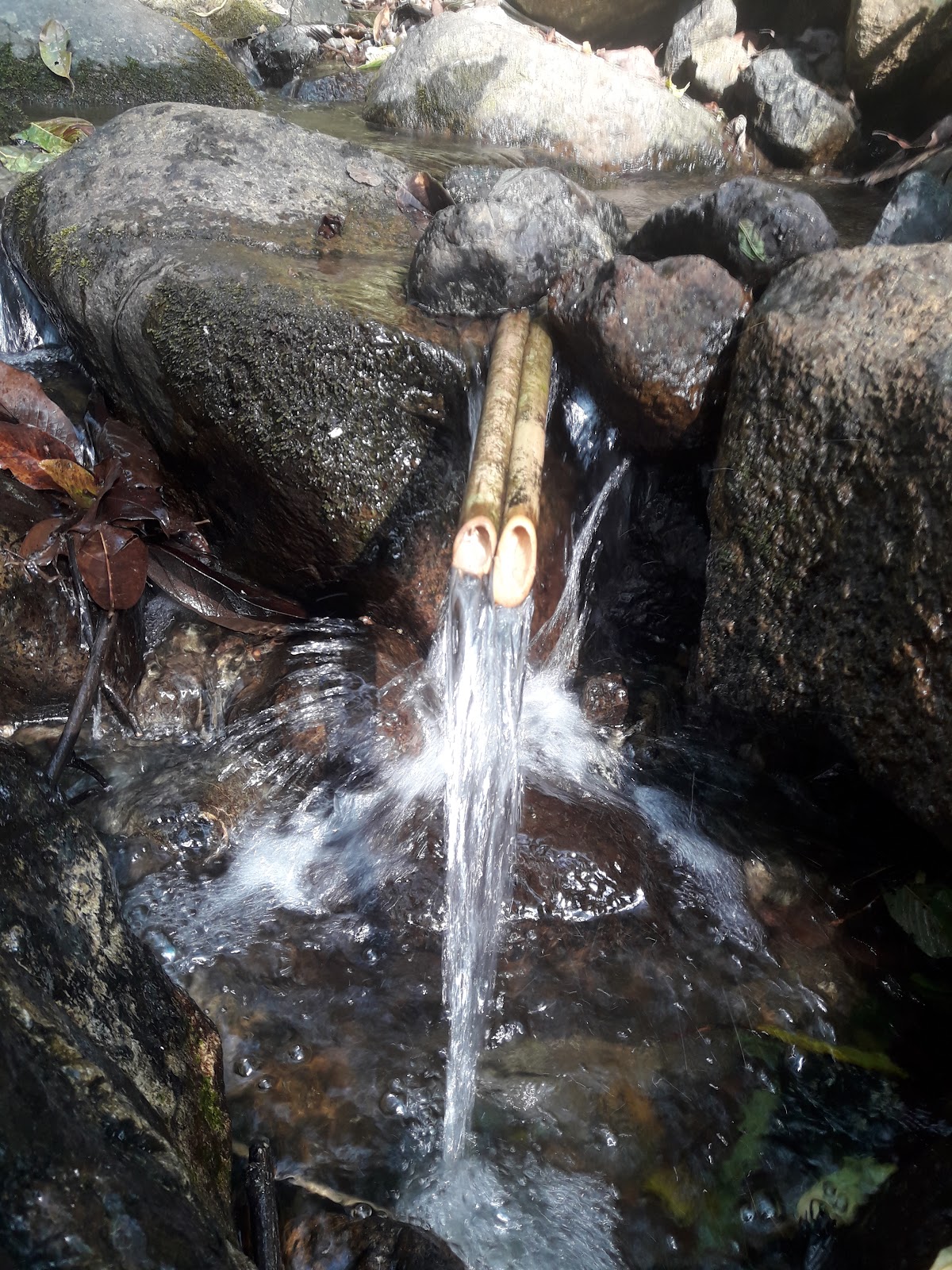 Shirui Lily Peak photo 2