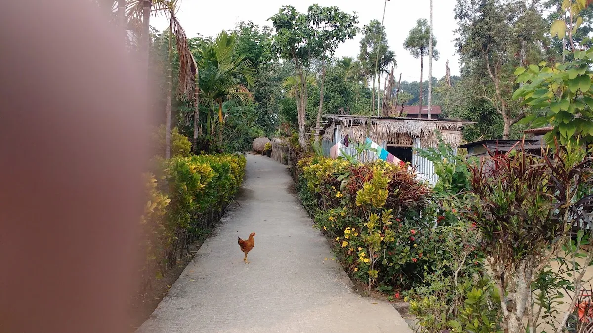 Mawlynnong Village - photo 3