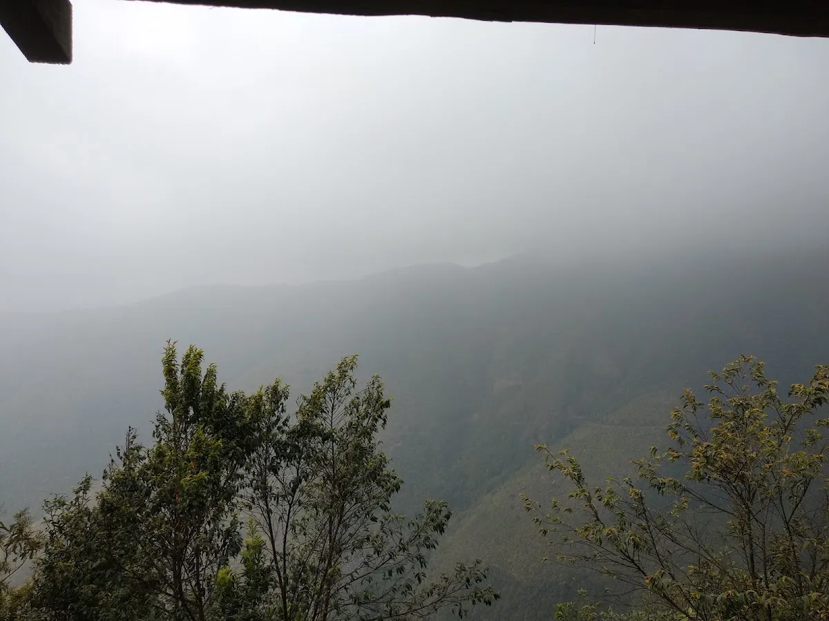 Riwai Living Root Bridge - photo 2