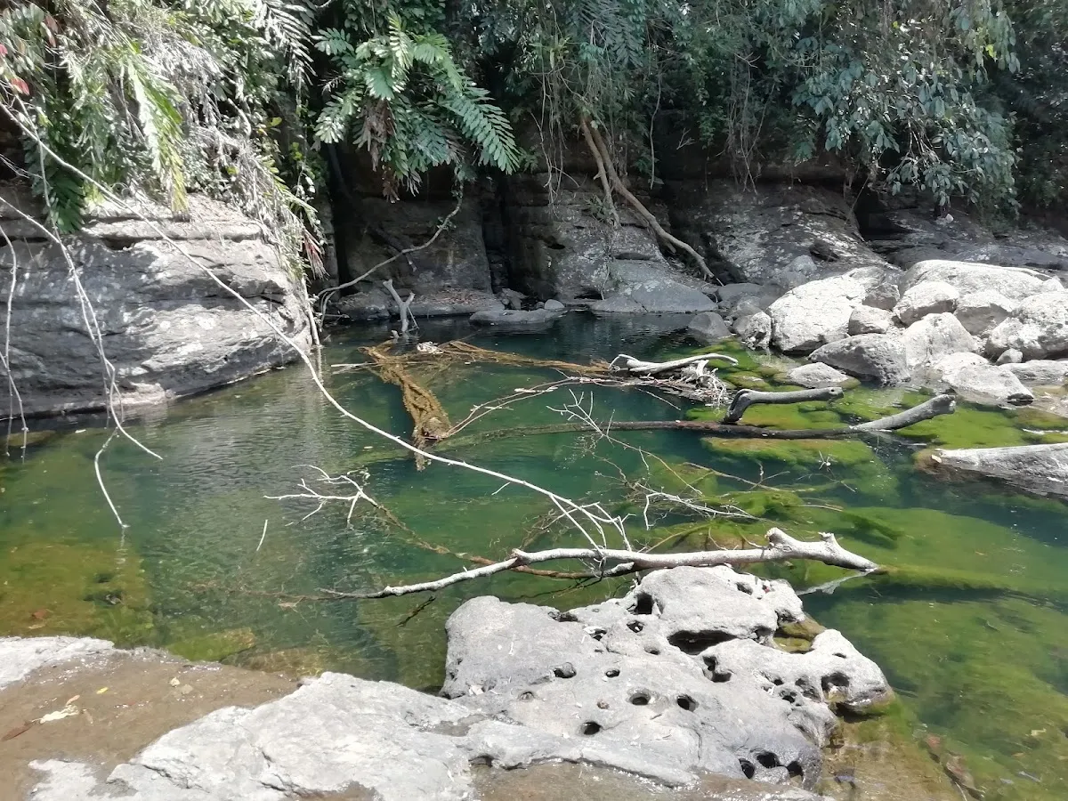 Riwai Living Root Bridge - photo 3