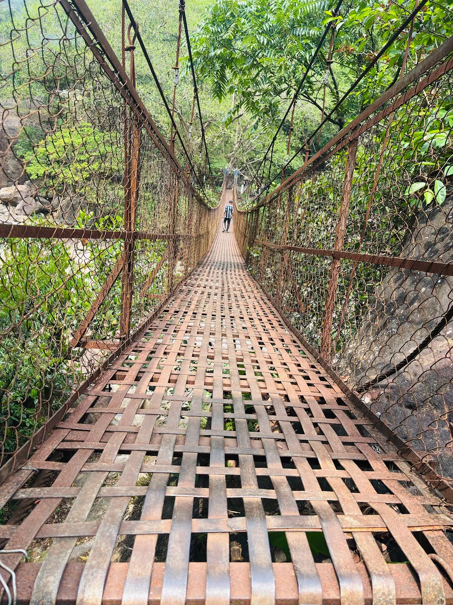 The Umshiang Double Decker Living Root Bridge in Nongriat, Meghalaya, grown from Ficus elastica roots stacked two tiers above the river