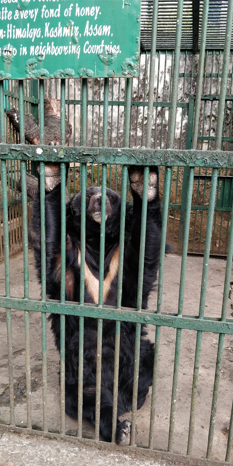 Lady Hydari Park photo 3