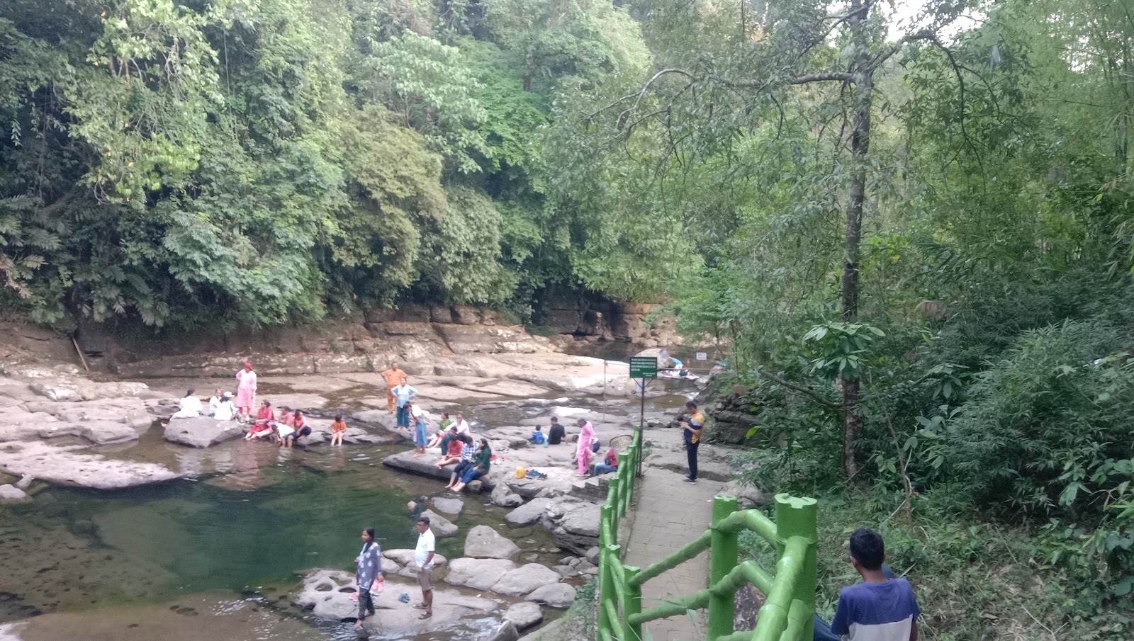 Riwai Living Root Bridge photo 3