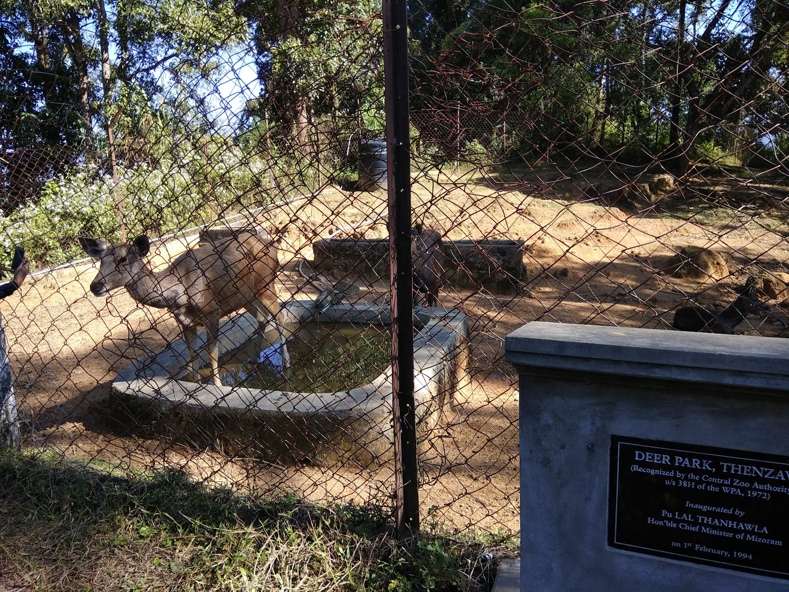 Deer Park, Thenzawl photo 2