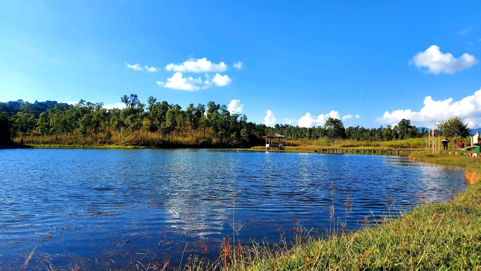 Thenzawl Vety. Dilpui