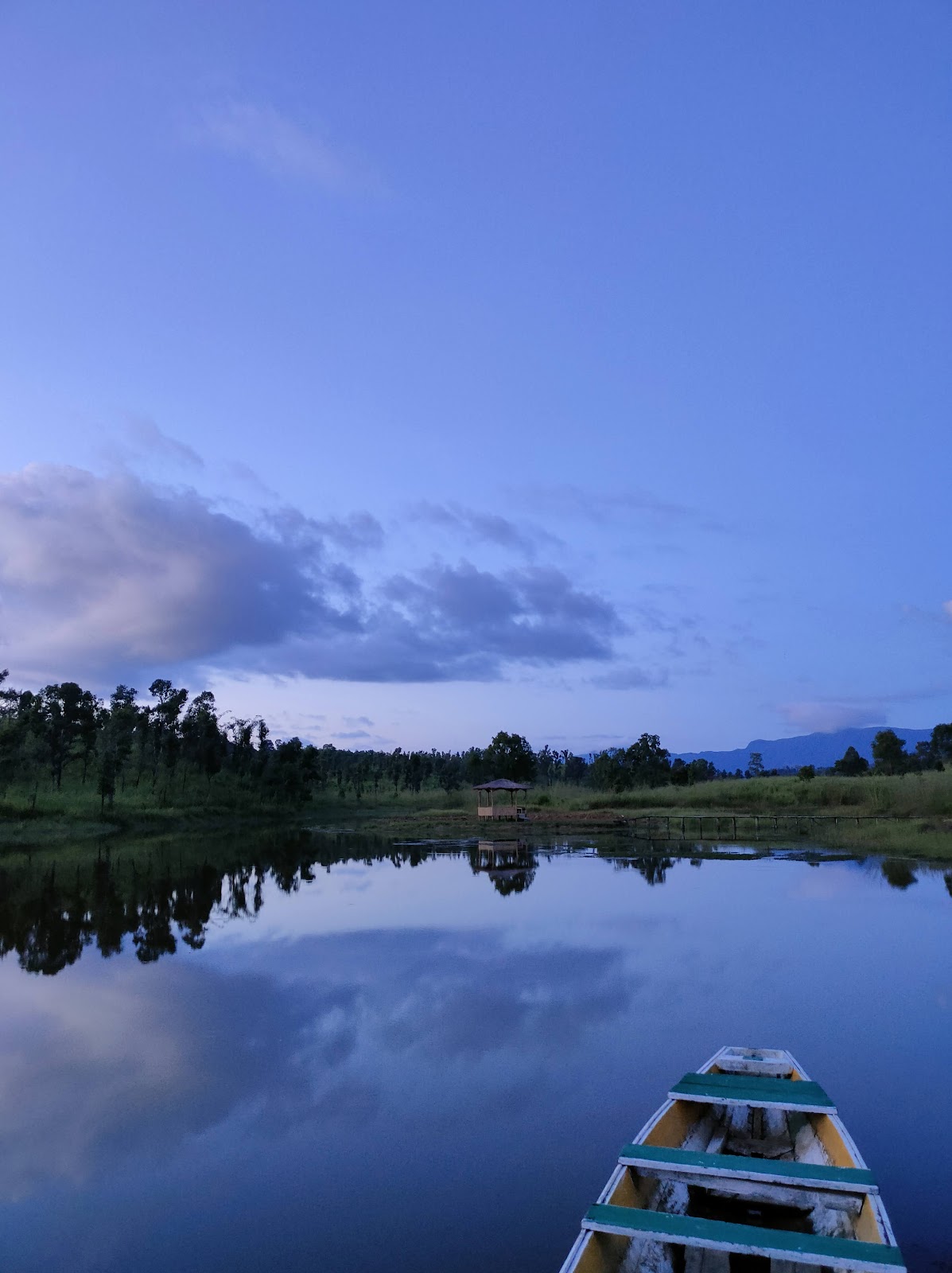 Thenzawl Vety. Dilpui photo 2