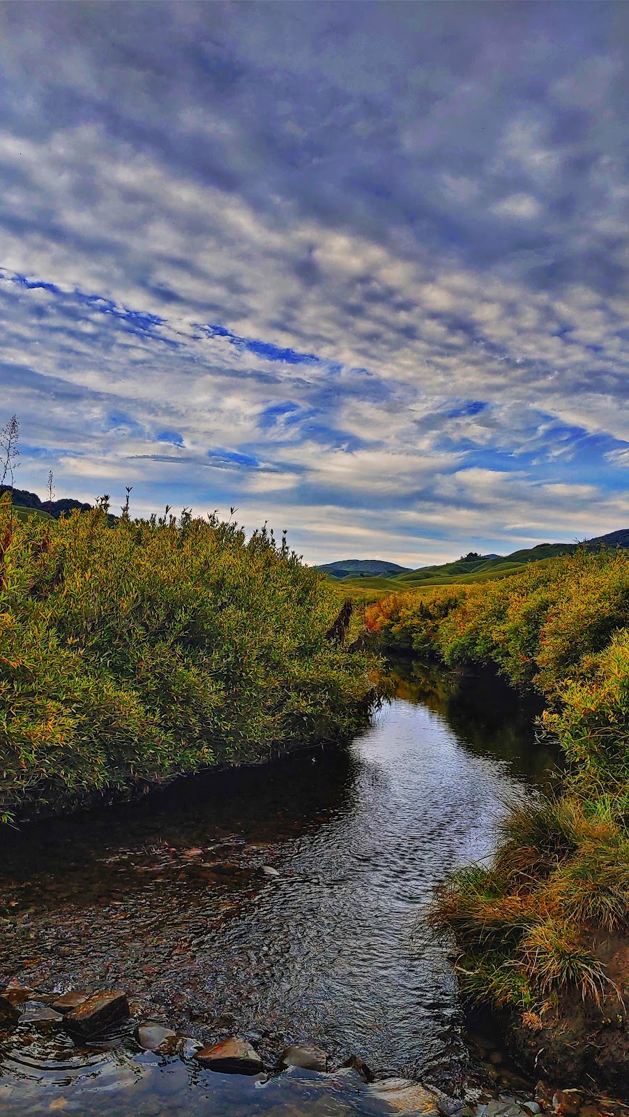 Dzukou Valley photo 3