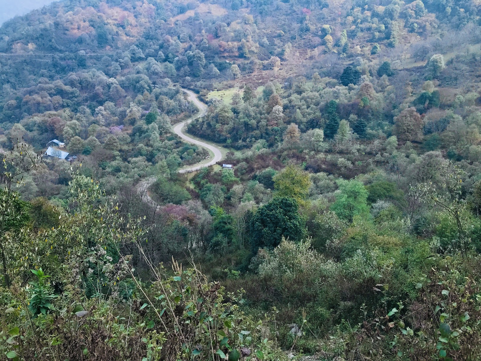 Khonoma Nature Conservation and Tragopan Sanctuary