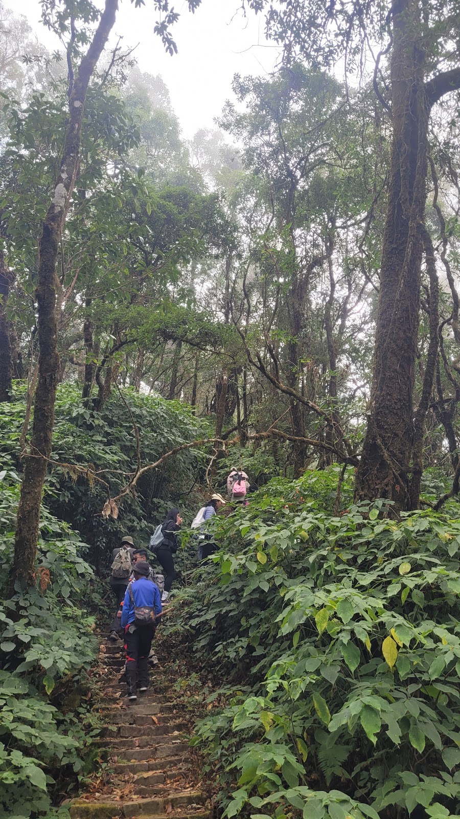 Mt. Pauna, Benreu village photo 2